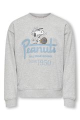 Only Girls Sudadera con estampado de Peanuts gris