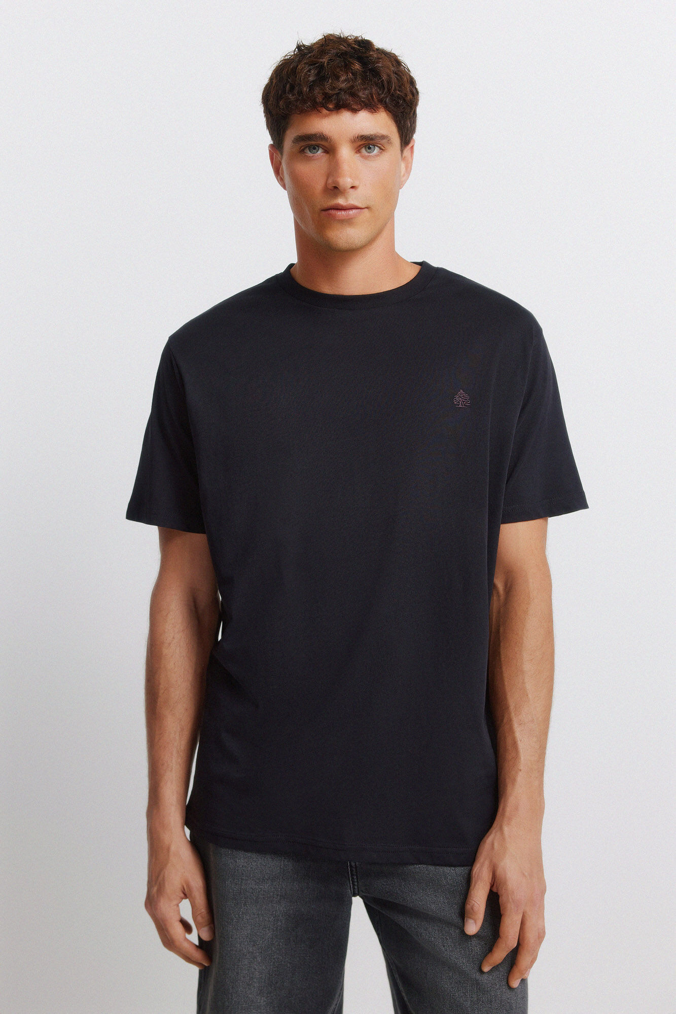 Springfield Camiseta b&aacute;sica logo Springfield