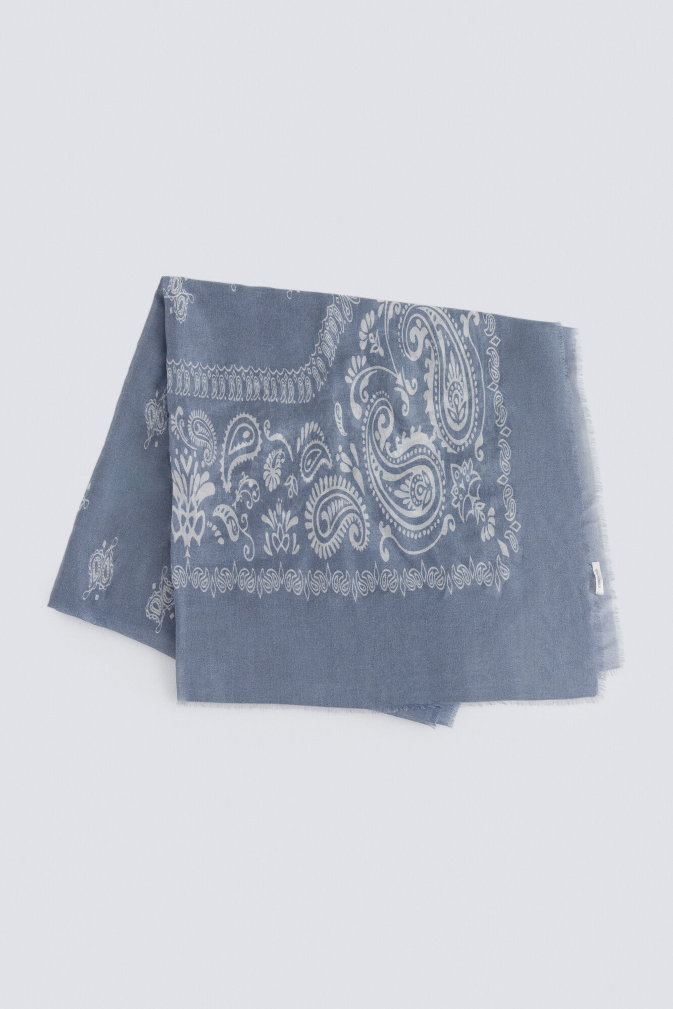 Springfield Paisley bandana