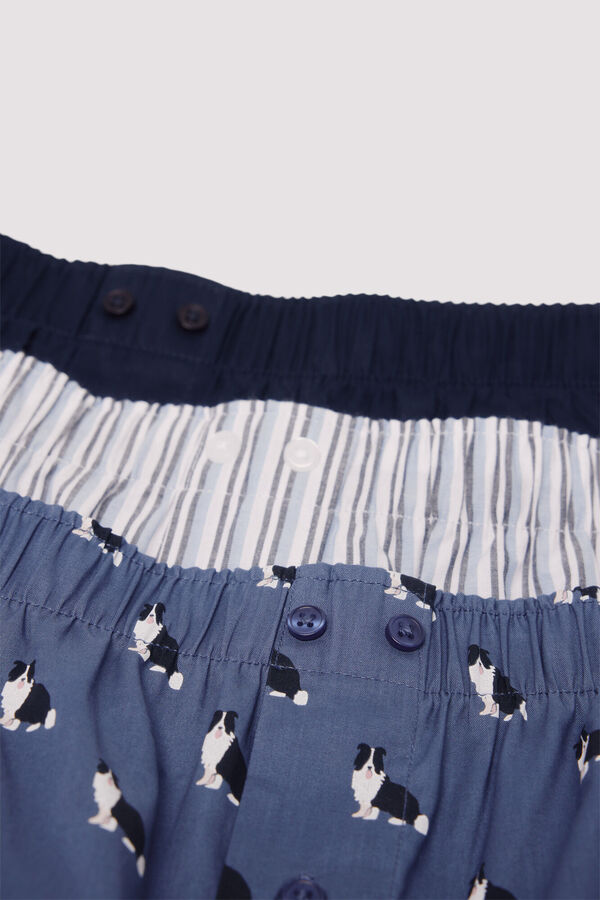 Springfield Pack de 3 cuecas de popelina estampadas azul