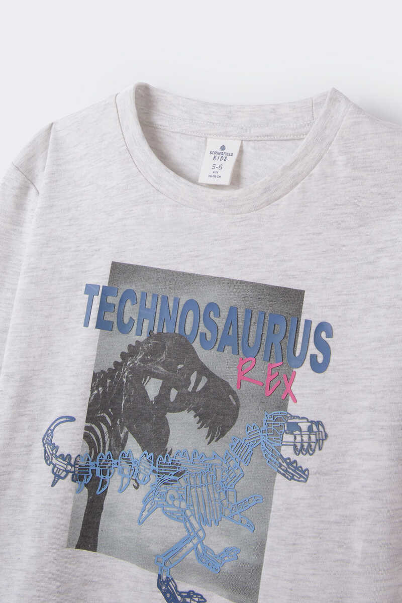 Springfield T-shirt Technosaurus menino cinza