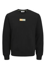 Jack & Jones Sudadera regular fit negro