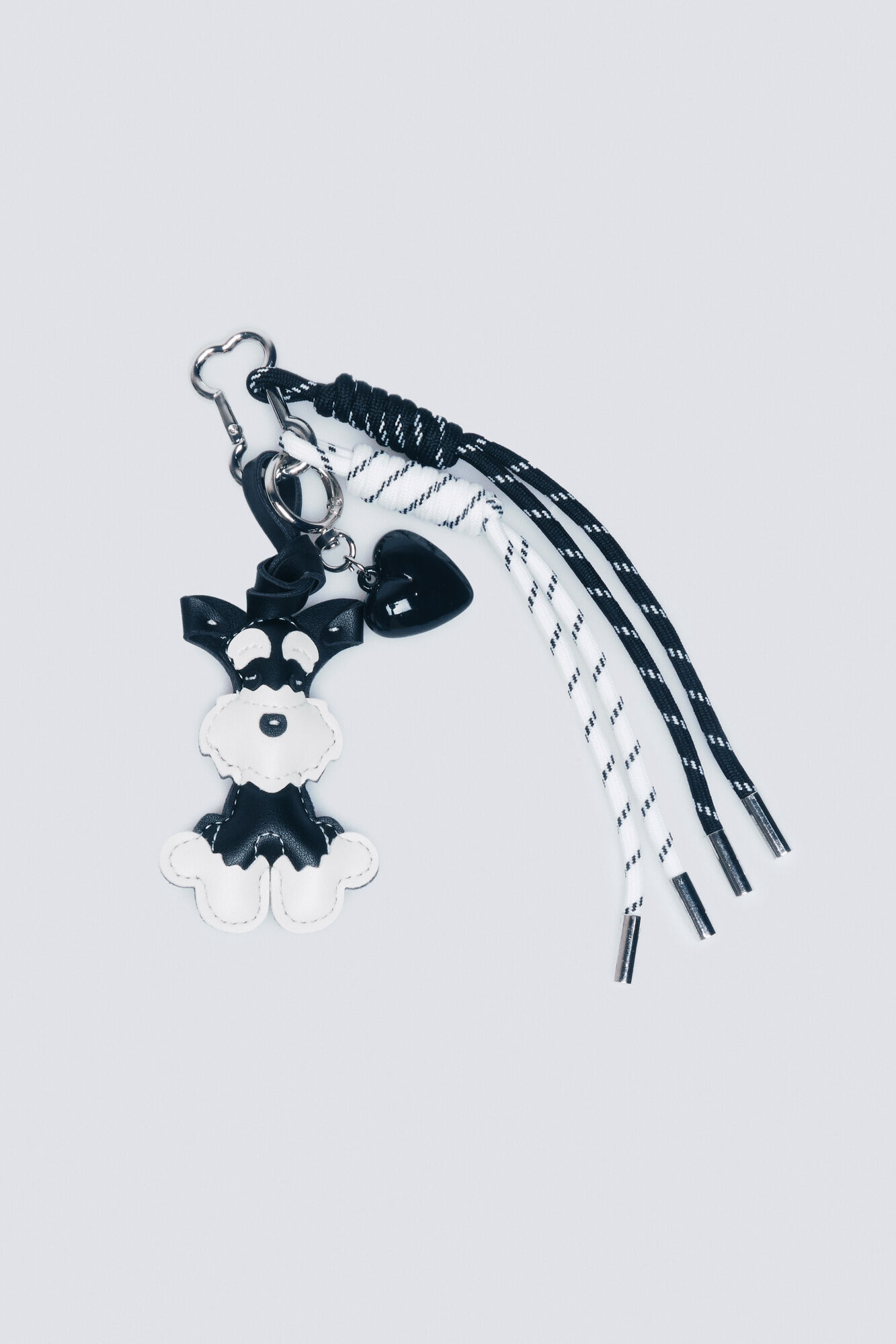 Springfield Charm perro Terrier