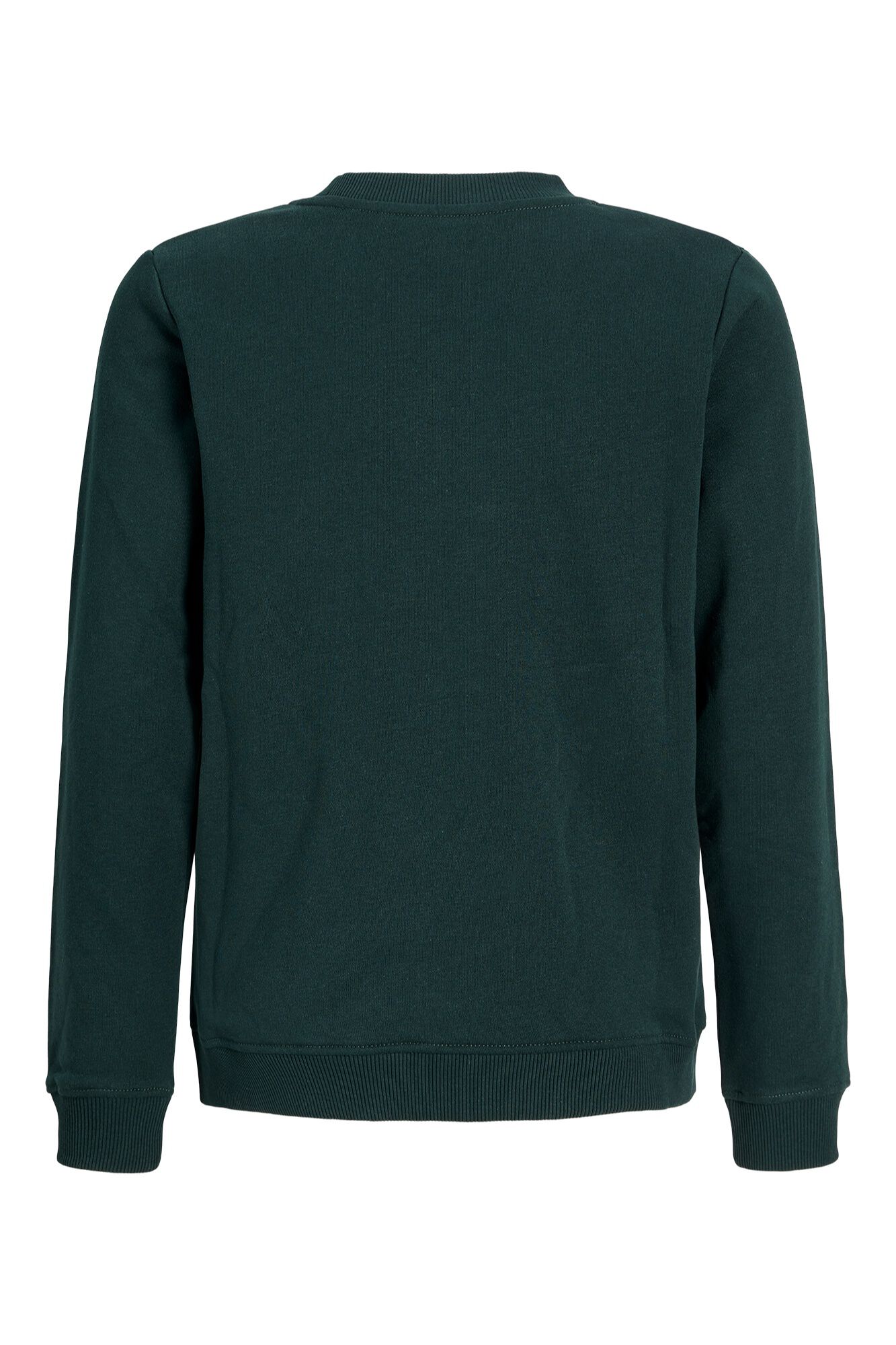 Jack & Jones Junior Sudadera regular estampada
