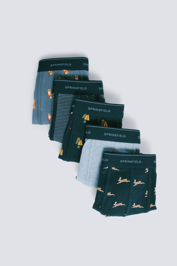 Springfield Paket od 5 štampanih pamučnih bokserki Siva
