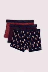 Springfield Pack 3 boxers animales y rayas burdeos