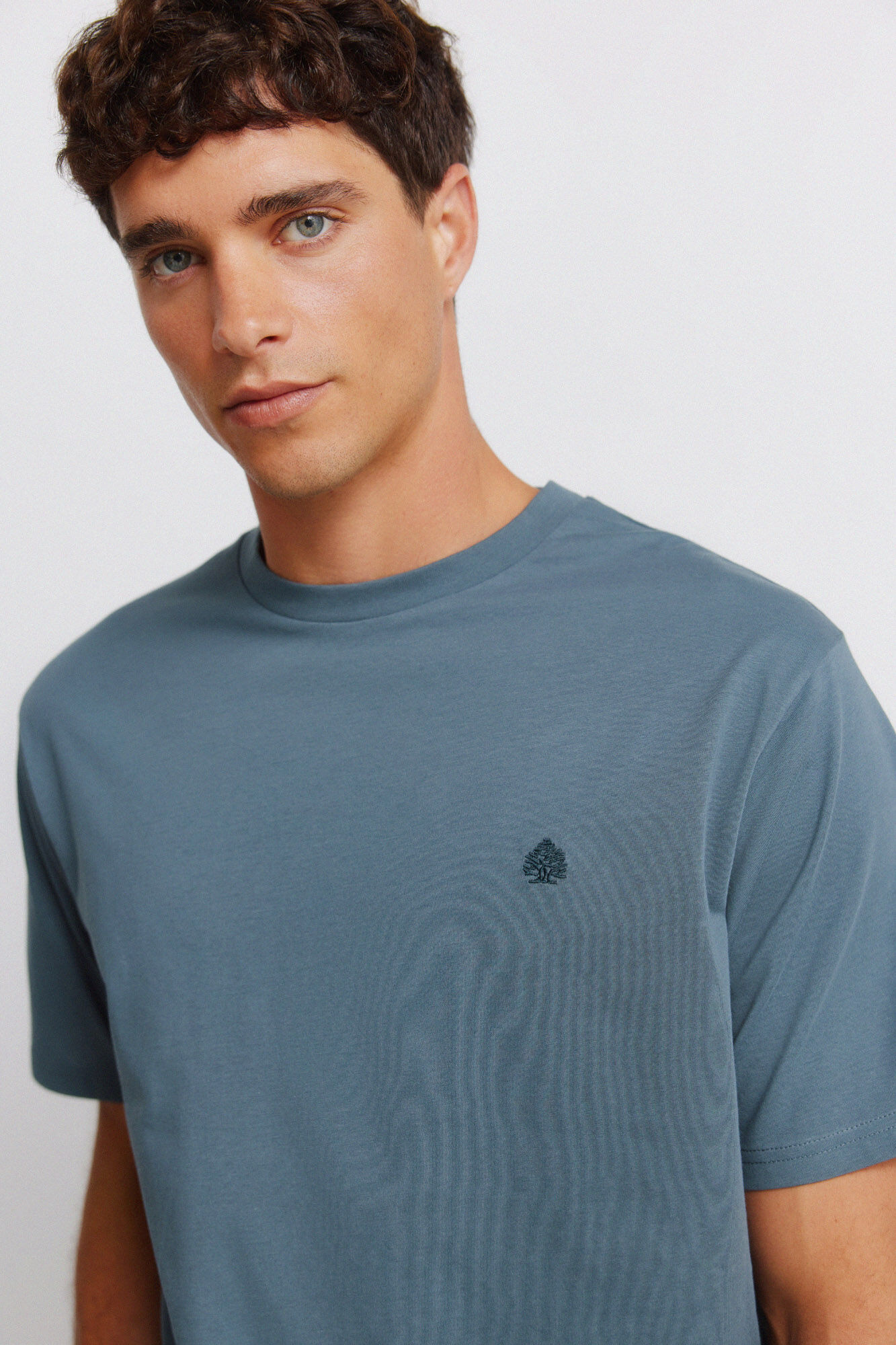 Springfield Camiseta b&aacute;sica logo Springfield