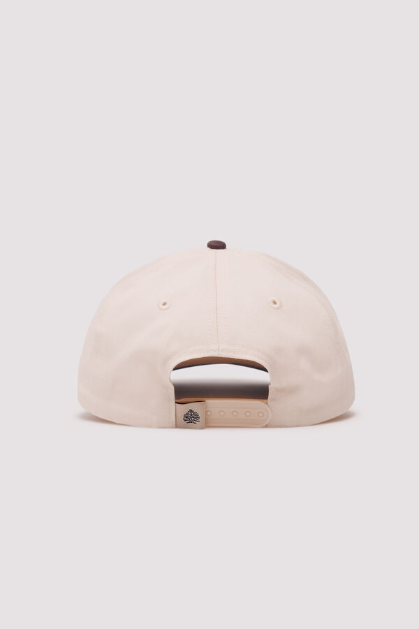 Springfield Front embroidered trucker cap Print