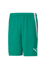 Springfield teamLIGA Pantalones cortos deportivos verde