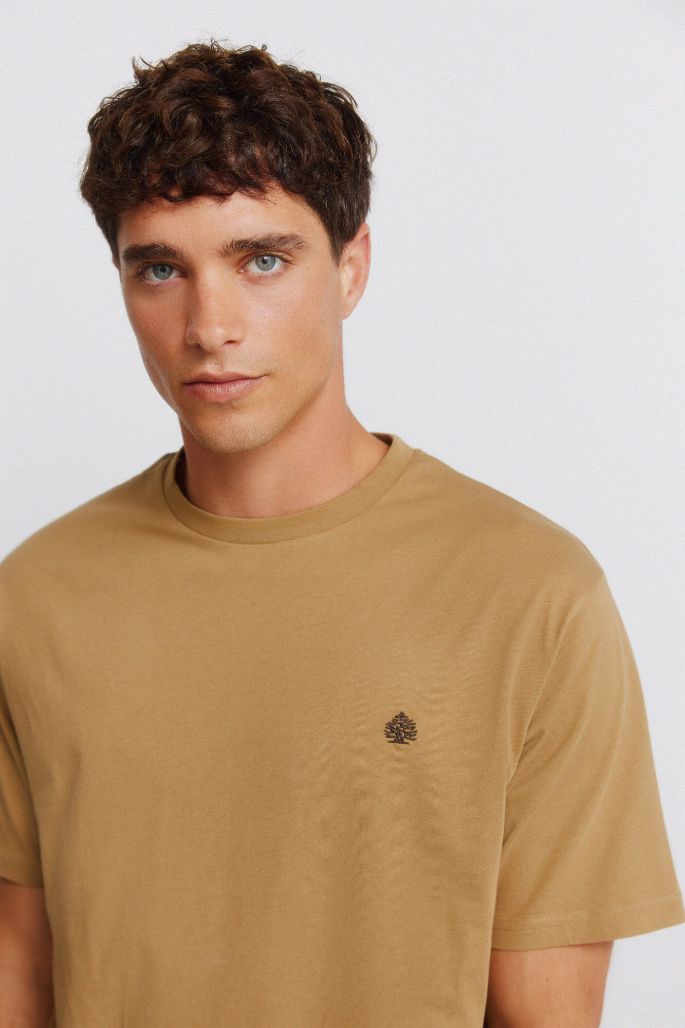 Springfield Camiseta b&aacute;sica logo Springfield