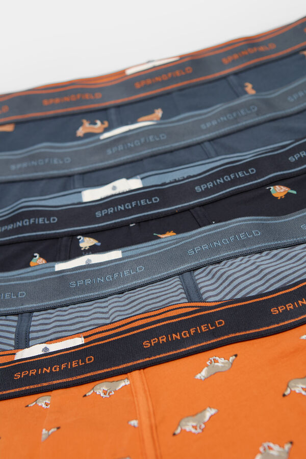 Springfield Pack of 5 animal print boxers blue