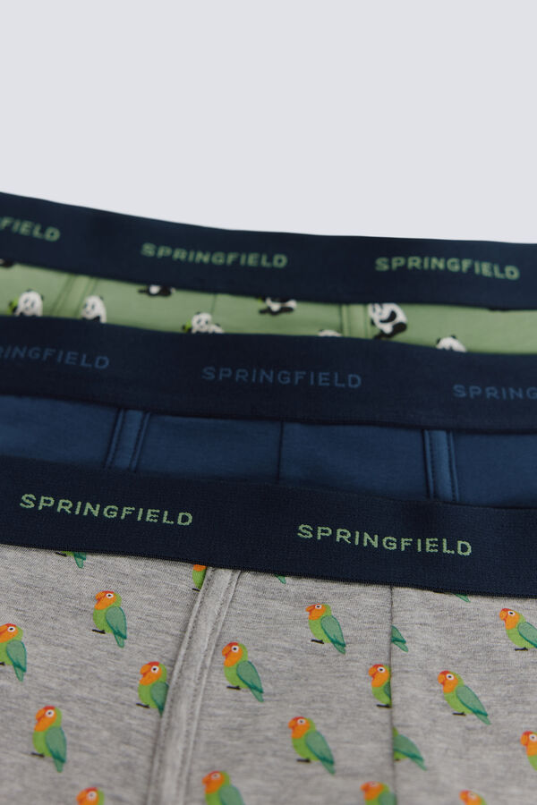 Springfield Pakovanje od 3 para panda bokserice Zelena