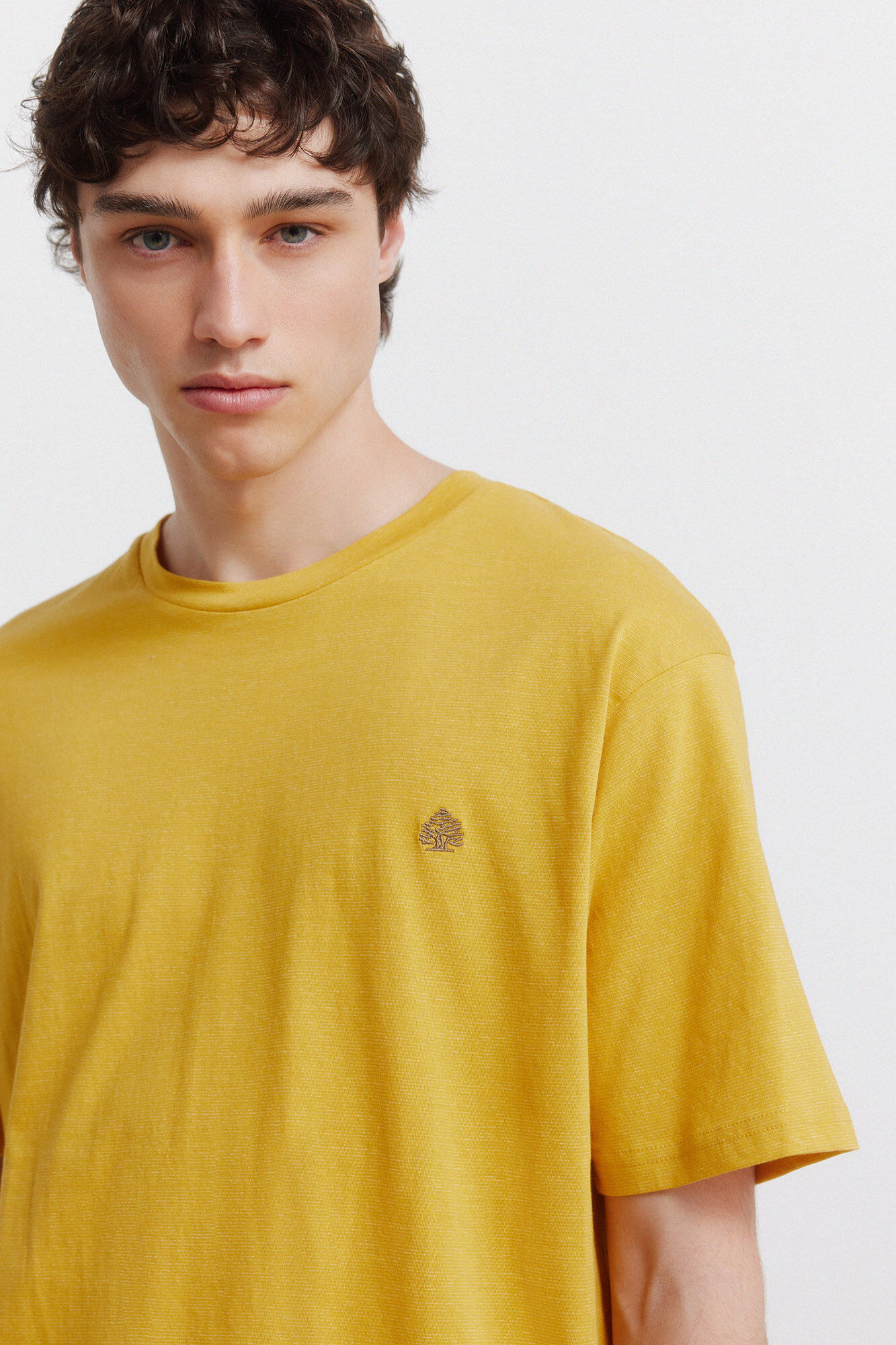 Springfield Camiseta inject oscura