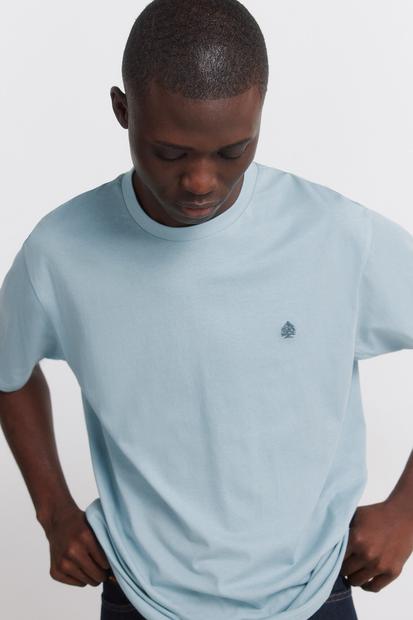 Springfield Osnovna majica kratkih rukava s logotipom Springfielda