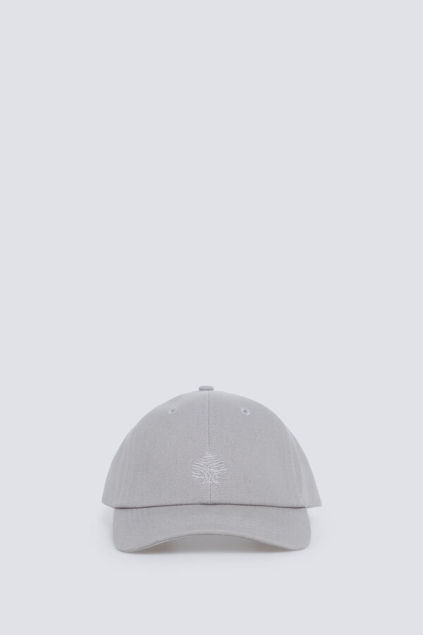 Springfield Osnovni kačket sa reljefnim logom Springfield Braon