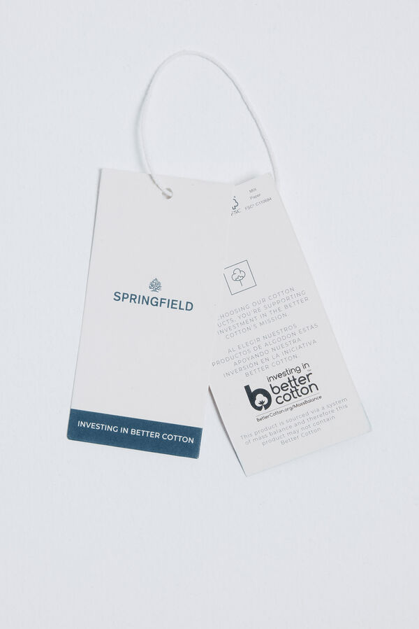 Springfield Dukserica sa grafičkim printom grada Plava