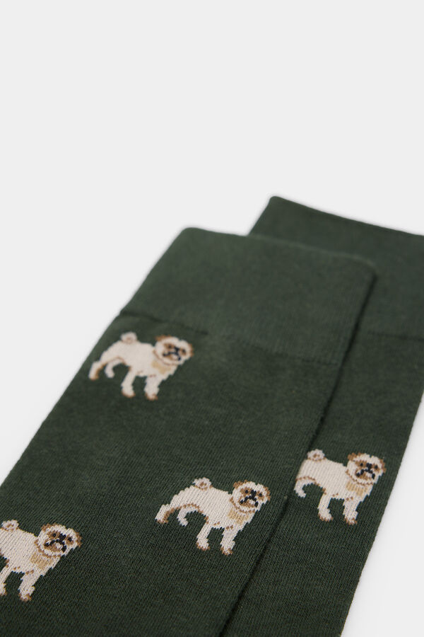 Springfield Pug dog sock green