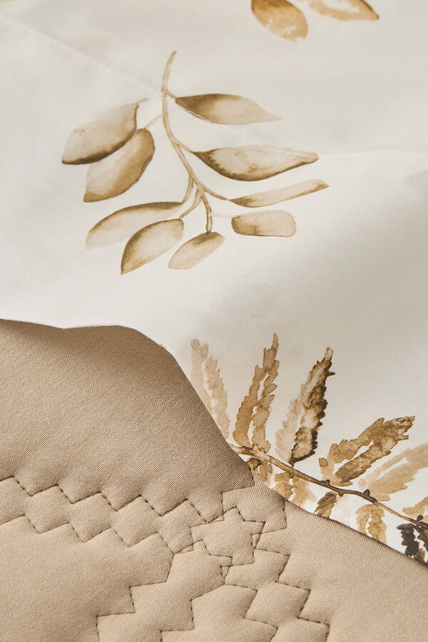 Textura Folhas de algod&atilde;o em galho cru