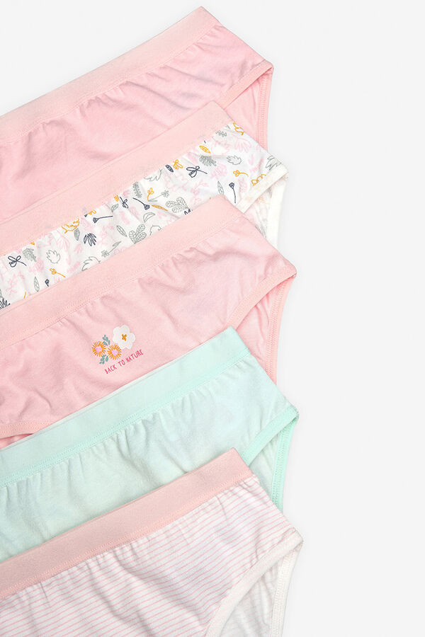 Penti Pack of 5 girl's panties printed