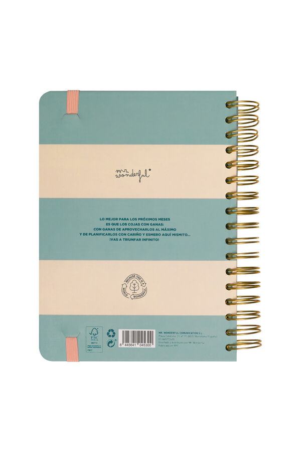 Mr. Wonderful Wonder Agenda 2024-25 Blue Daily-The best of every day printed
