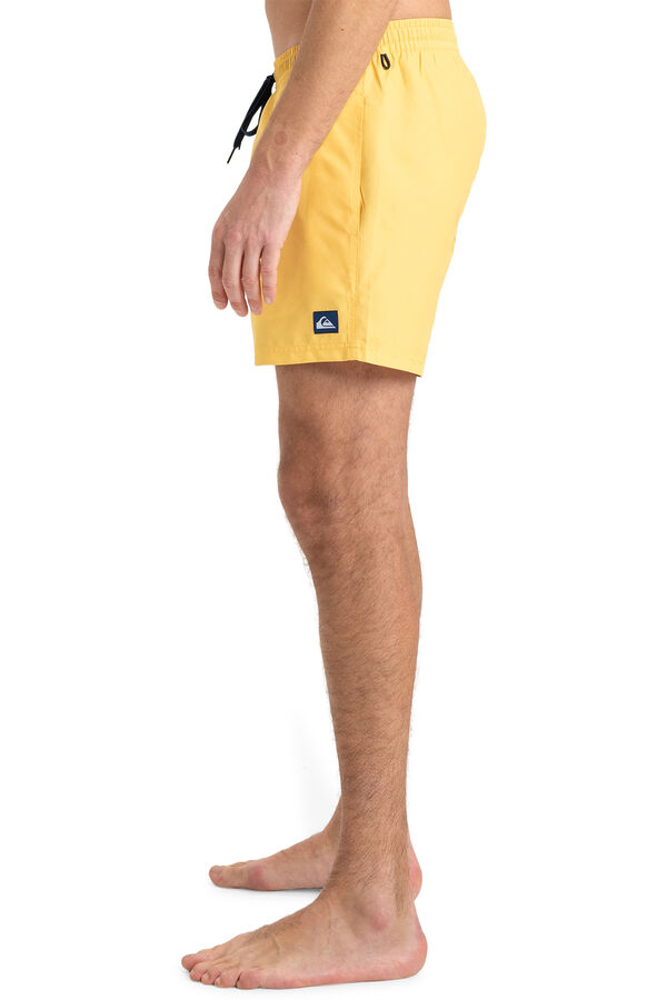 Quiksilver Everyday Solid 15 Swim Shorts  printed