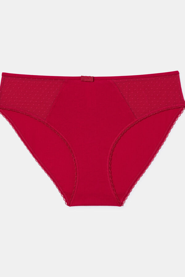 DIM Generous Organic Cotton Briefs  red