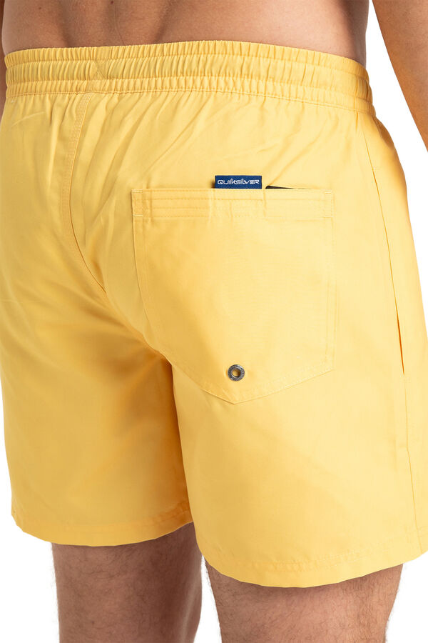 Quiksilver Everyday Solid 15 Swim Shorts  printed