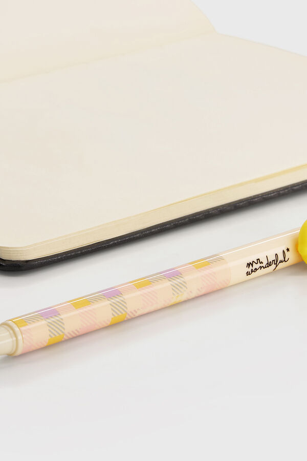 Mr. Wonderful Caneta apag&aacute;vel estampado