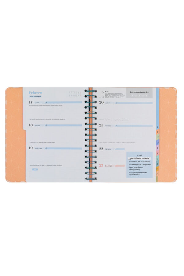 Mr. Wonderful Agenda Office 2024-25 Semanal 18 meses - Todo ir&aacute; mejor que bien estampado