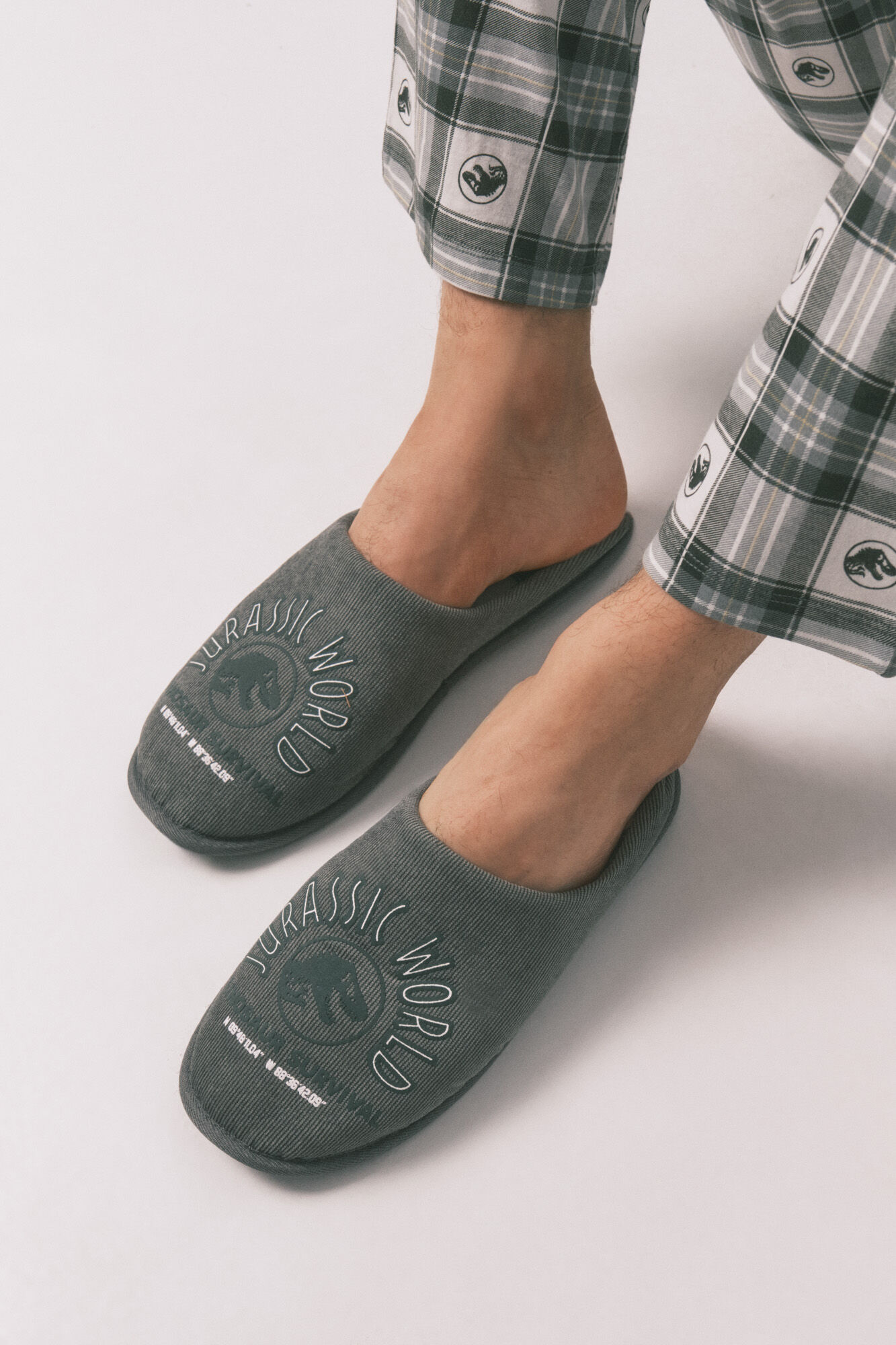 Women'secret Men's "Jurassic World" slippers