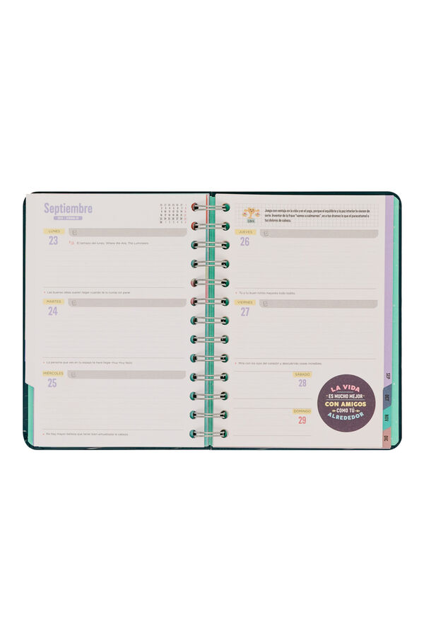 Mr. Wonderful Agenda 2024 semanal printed