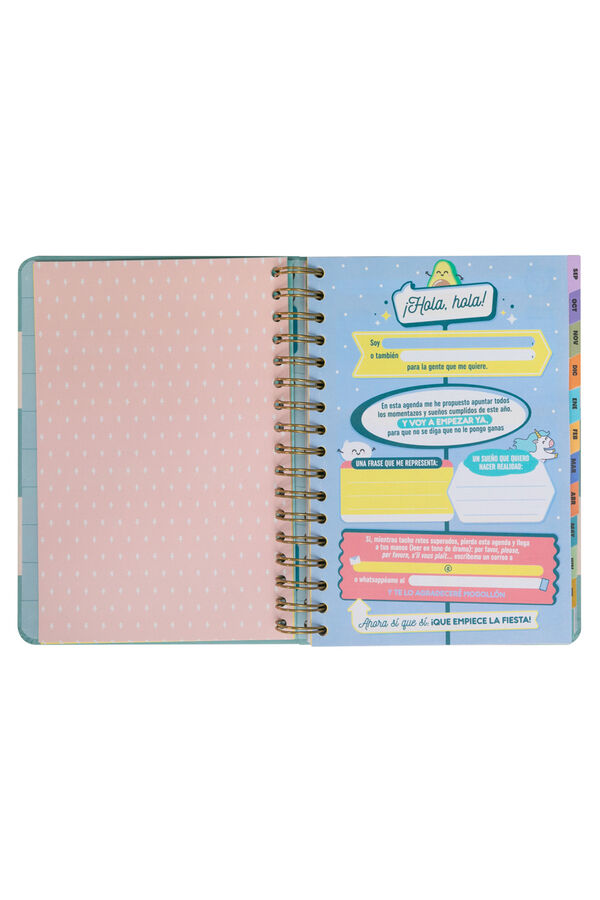 Mr. Wonderful Wonder Agenda 2024-25 Blue Daily-The best of every day printed