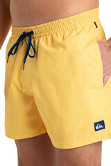 Quiksilver Everyday Solid 15 Swim Shorts  printed