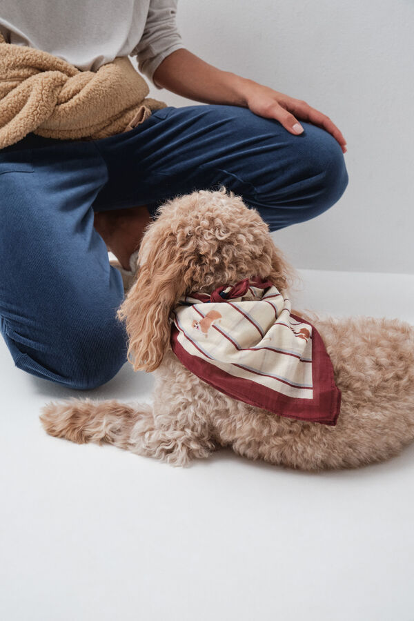 Women'secret Dog bandana scarf white