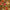 estampado