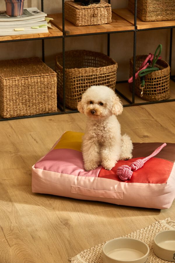 Calma House Pink pet cushion Buby 60x40x12 pink