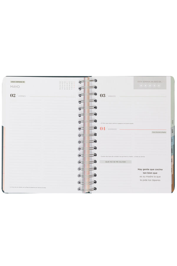 Mr. Wonderful Agenda Di&aacute;ria do Office 2025 &ndash; Um ano maravilhoso estampado