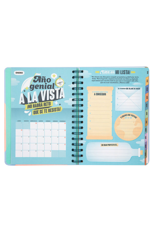 Mr. Wonderful Wonder Agenda 2025 Weekly - I'm going full speed ahead printed