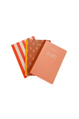Mr. Wonderful Set of 3 notebooks 19x25 cm - Very mindful, very demure printed