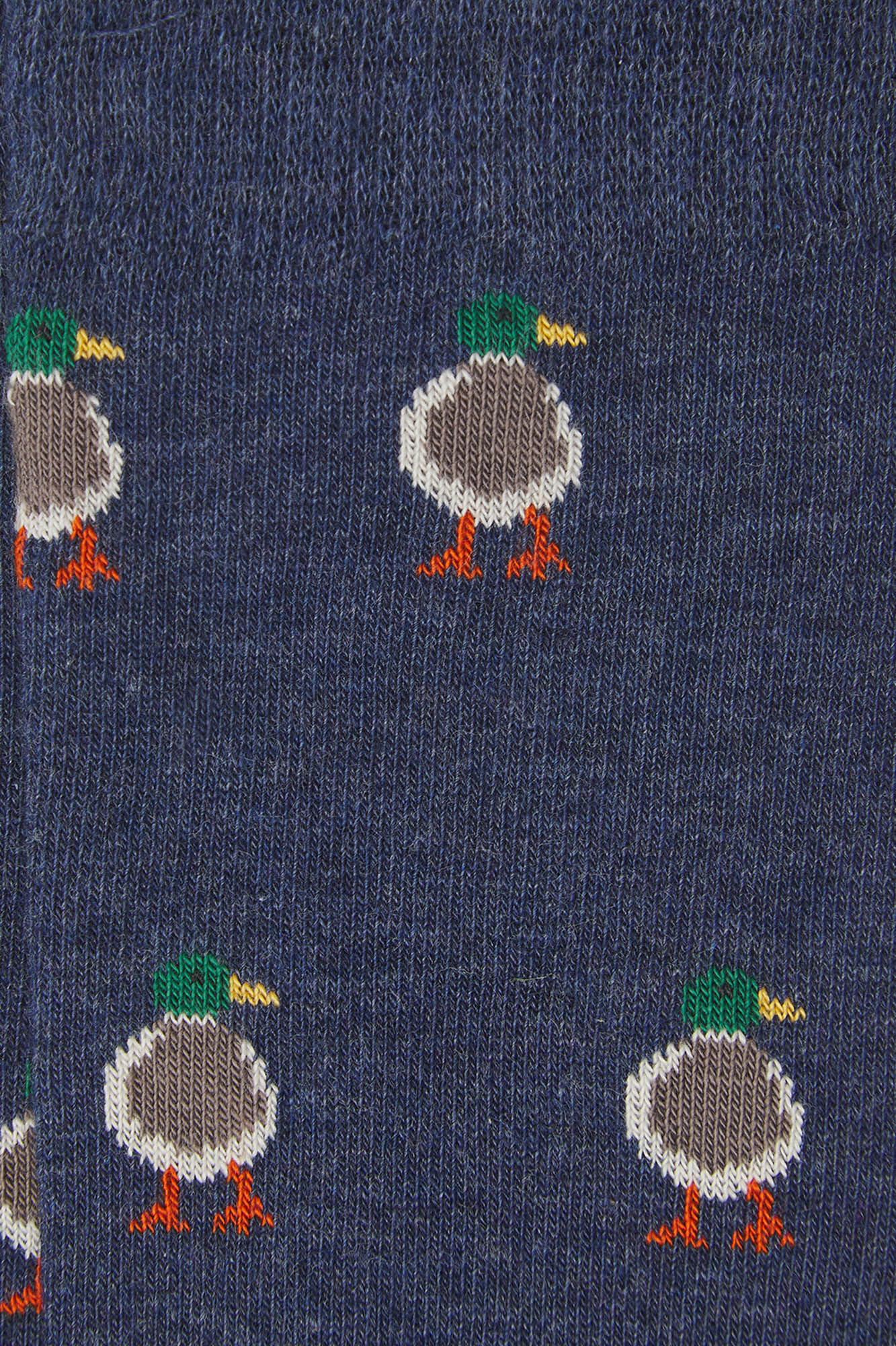 Kiff-Kiff Calcet&iacute;n Regular Algod&oacute;n Caballero