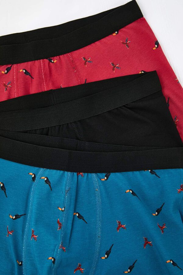 Trendyol Pack of 3 bird boxers printed