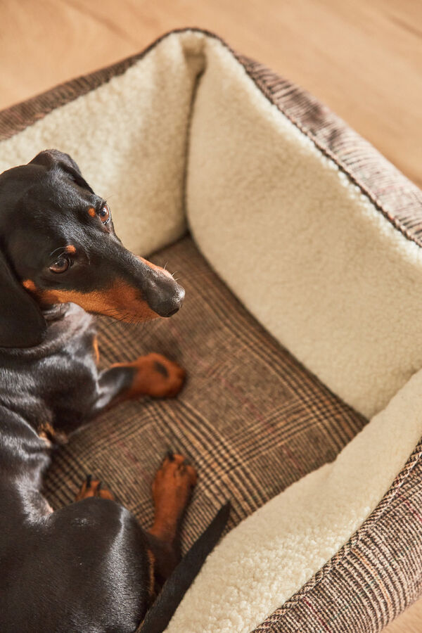 Calma House Cama para mascotas desenfundable Scott marr&oacute;n