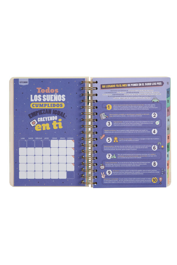 Mr. Wonderful Agenda Wonder 2023-2024 Diaria Rosa  printed