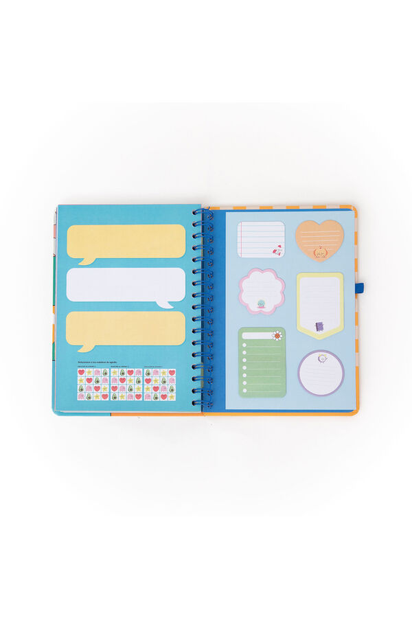 Mr. Wonderful Wonder 2026 Weekly Agenda - Random Plans printed