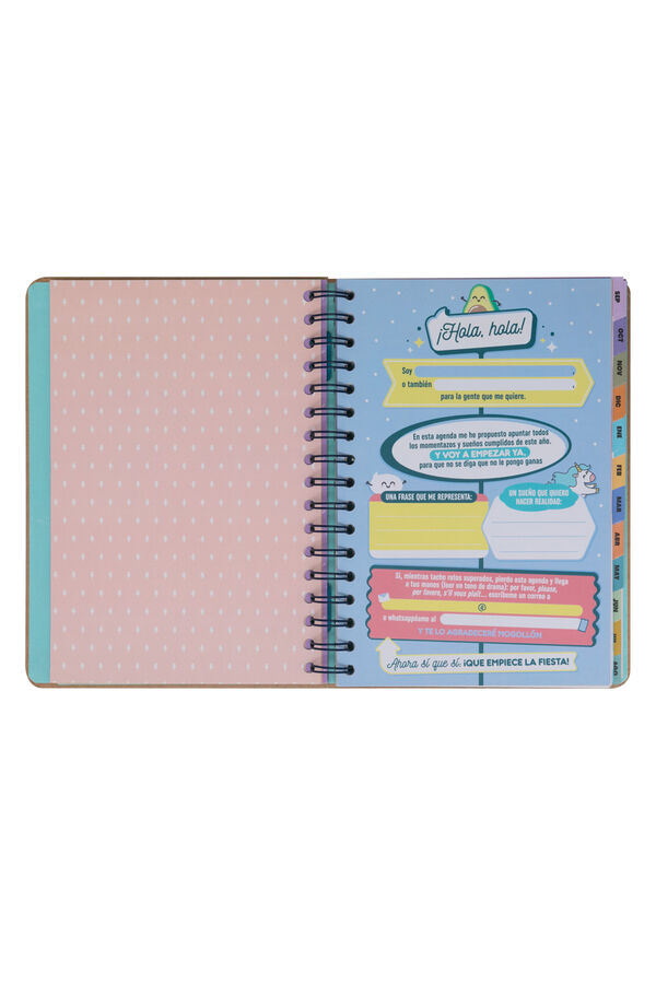 Mr. Wonderful Wonder Agenda 2024-2025 Weekly-Every week, with more enthusiasm printed