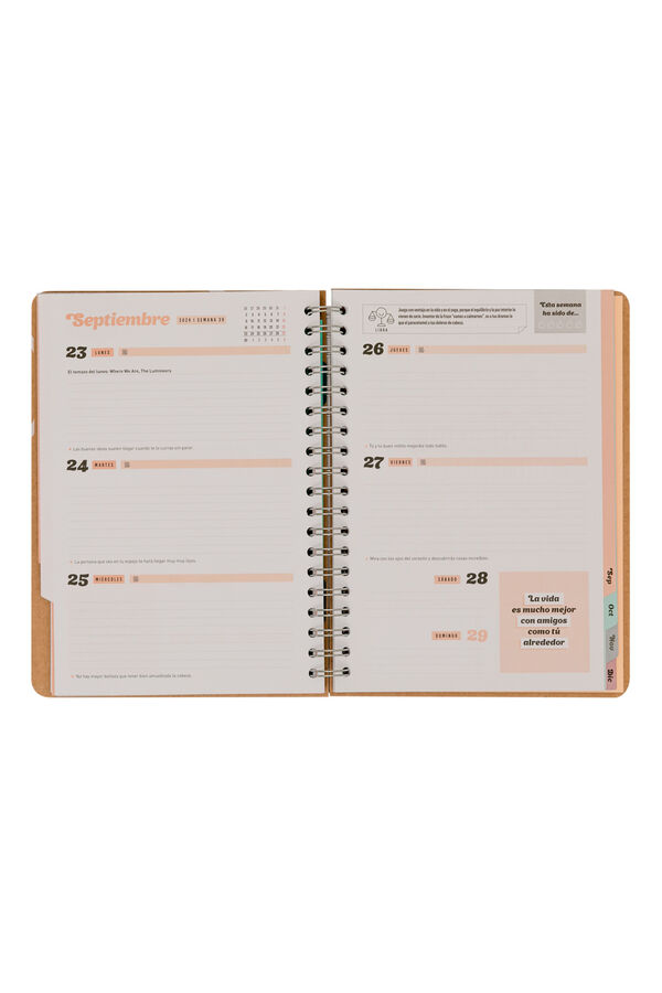 Mr. Wonderful Agenda 2024 semanal printed