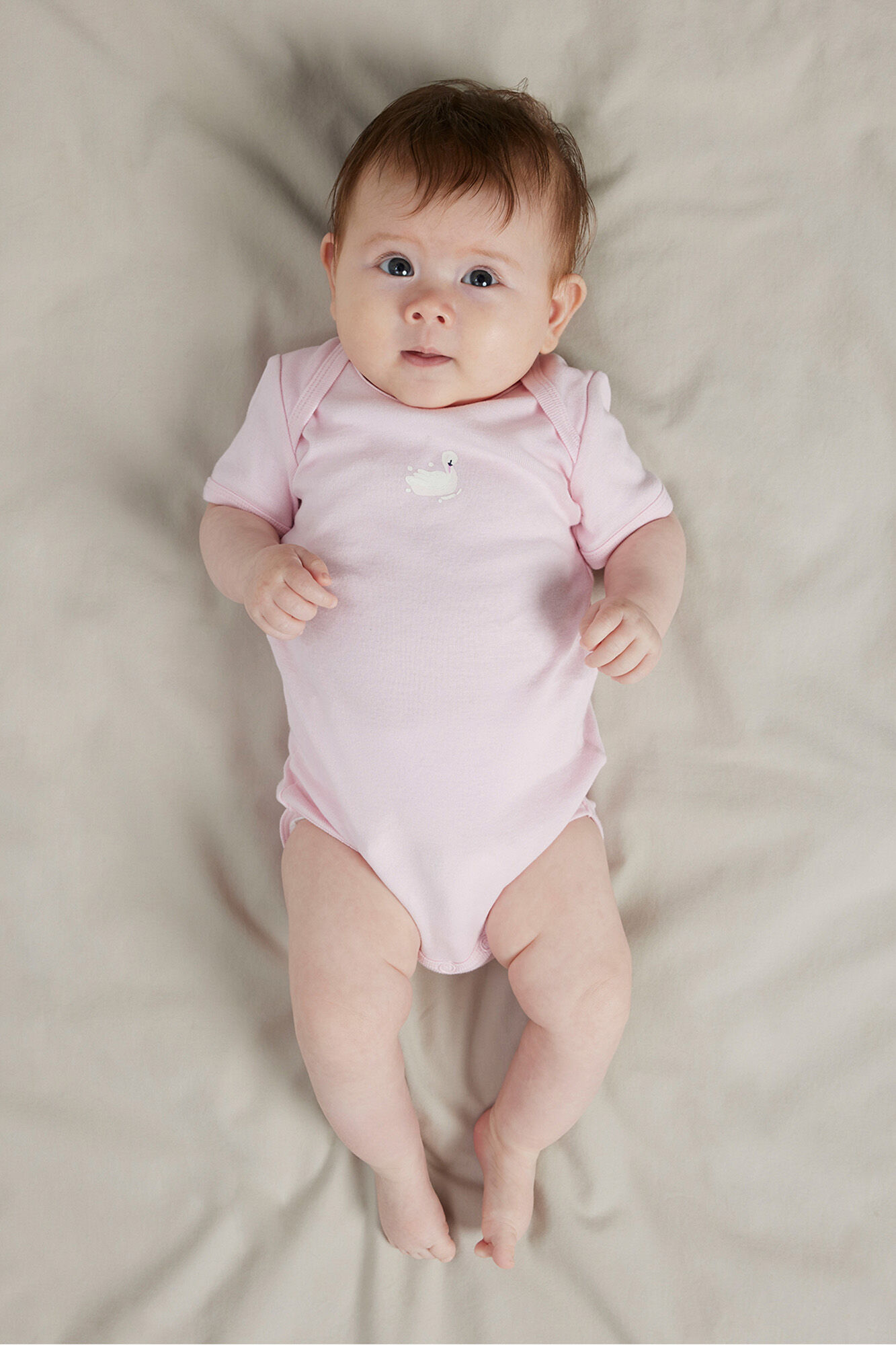 Name it Pack de 3 bodies cisne