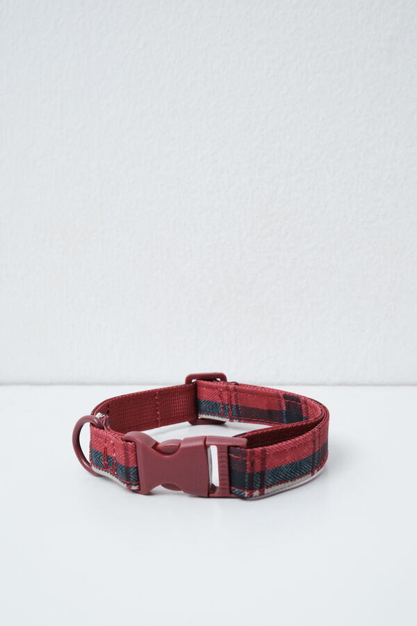 Women'secret Dog collar printed