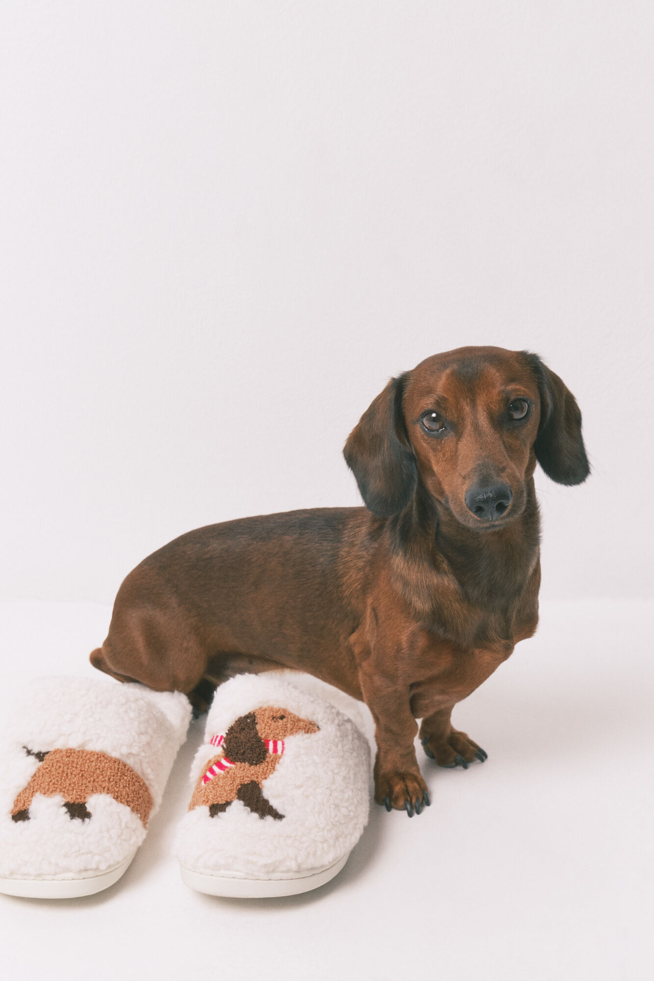 Women'secret Chinelos de quarto de pelo com desenho de c&atilde;es
