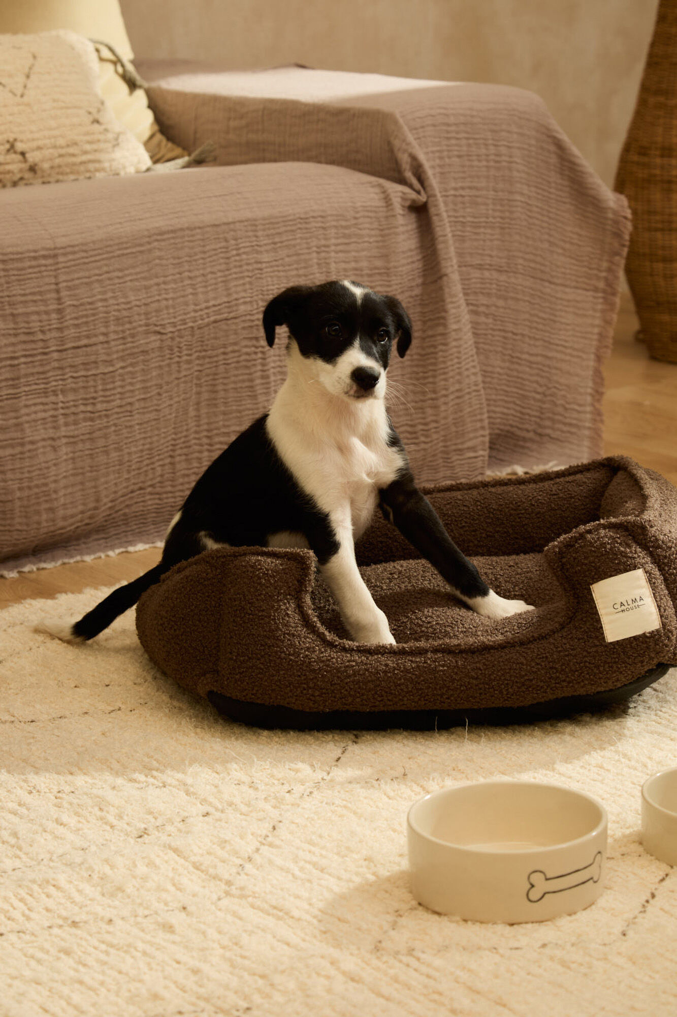 Calma House Cama desenfundable marr&oacute;n para mascotas Taico